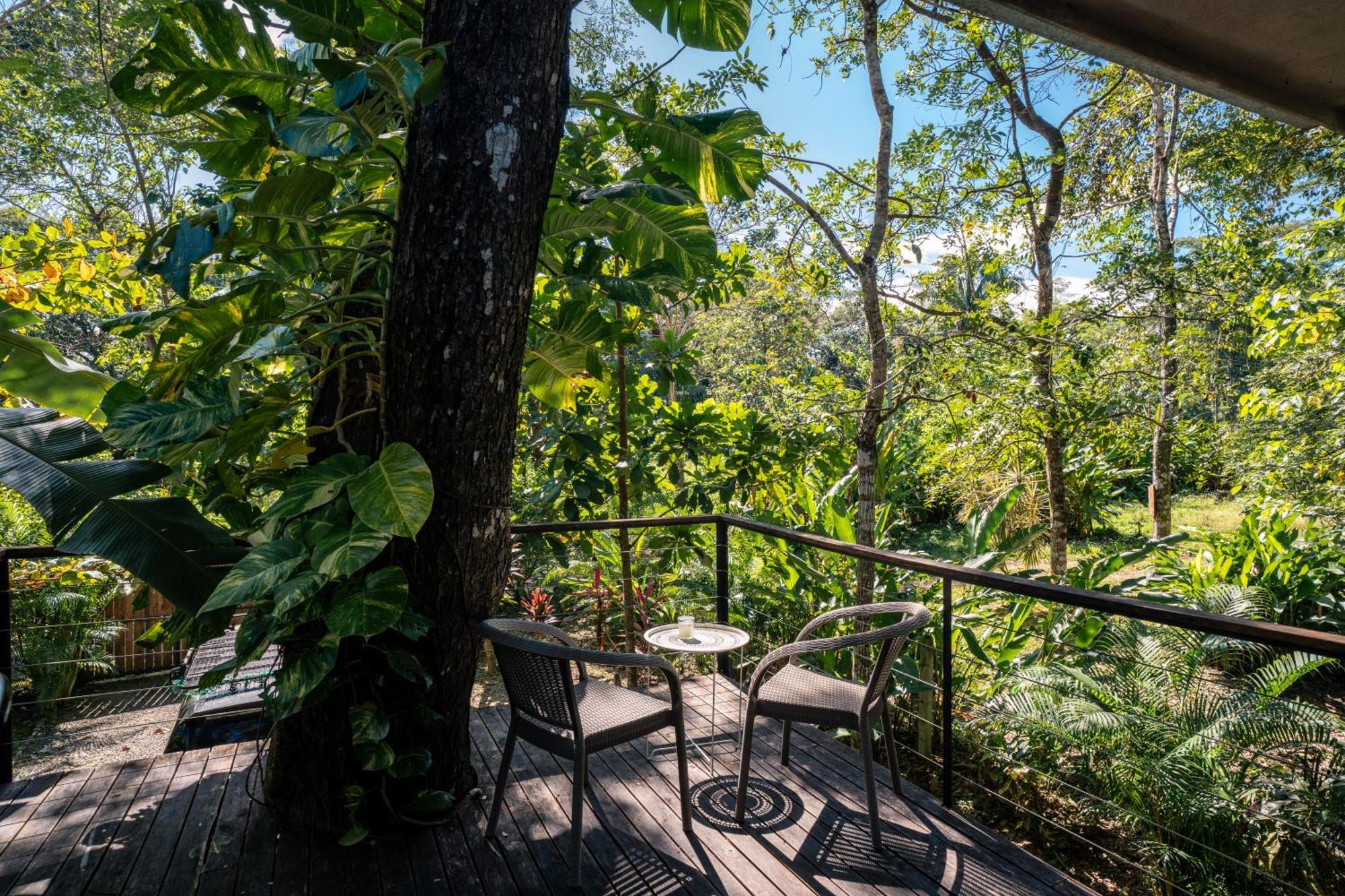 Feeling Trees Jungle Lodge Cabuya  Extérieur photo