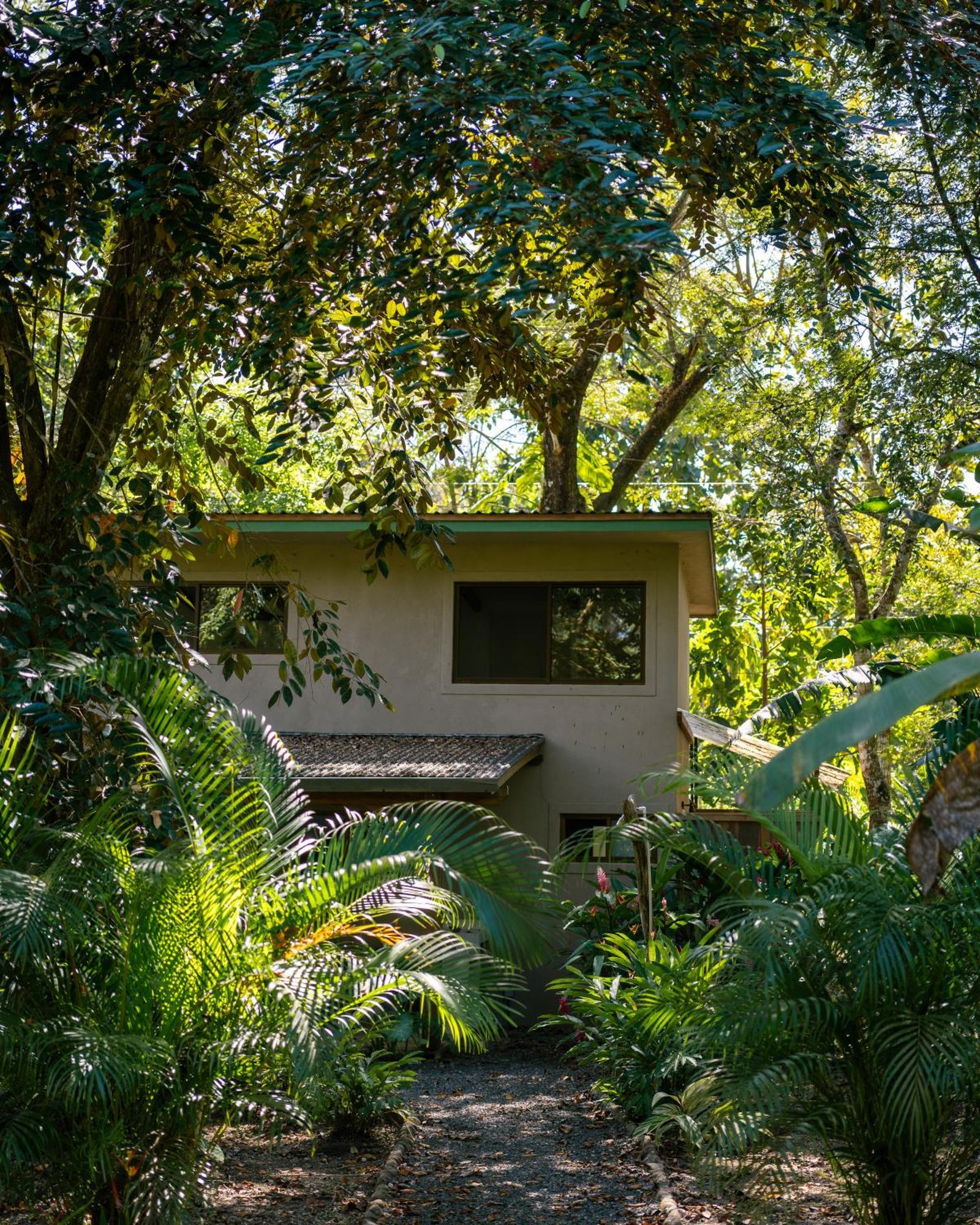 Feeling Trees Jungle Lodge Cabuya  Extérieur photo