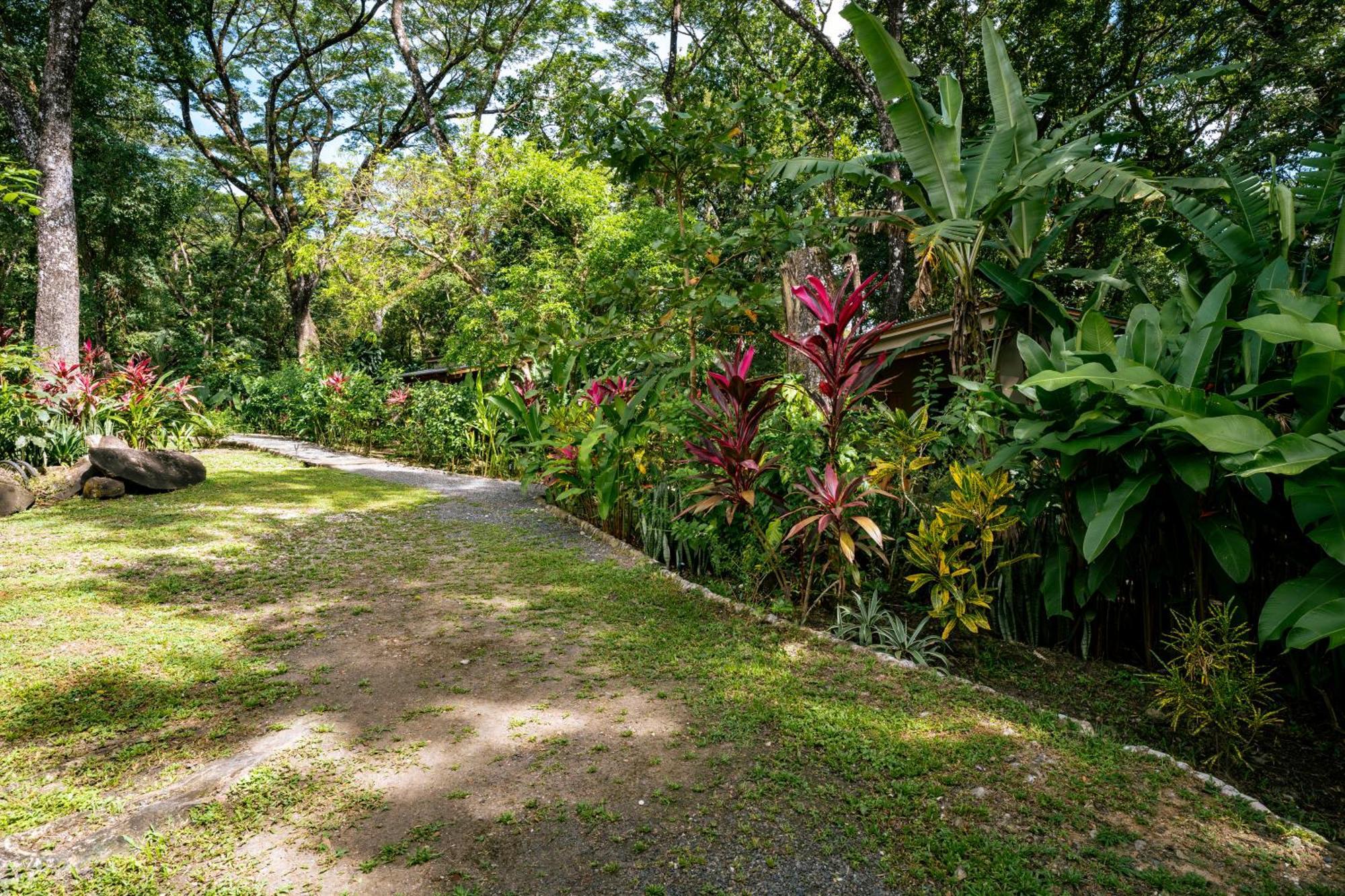 Feeling Trees Jungle Lodge Cabuya  Extérieur photo