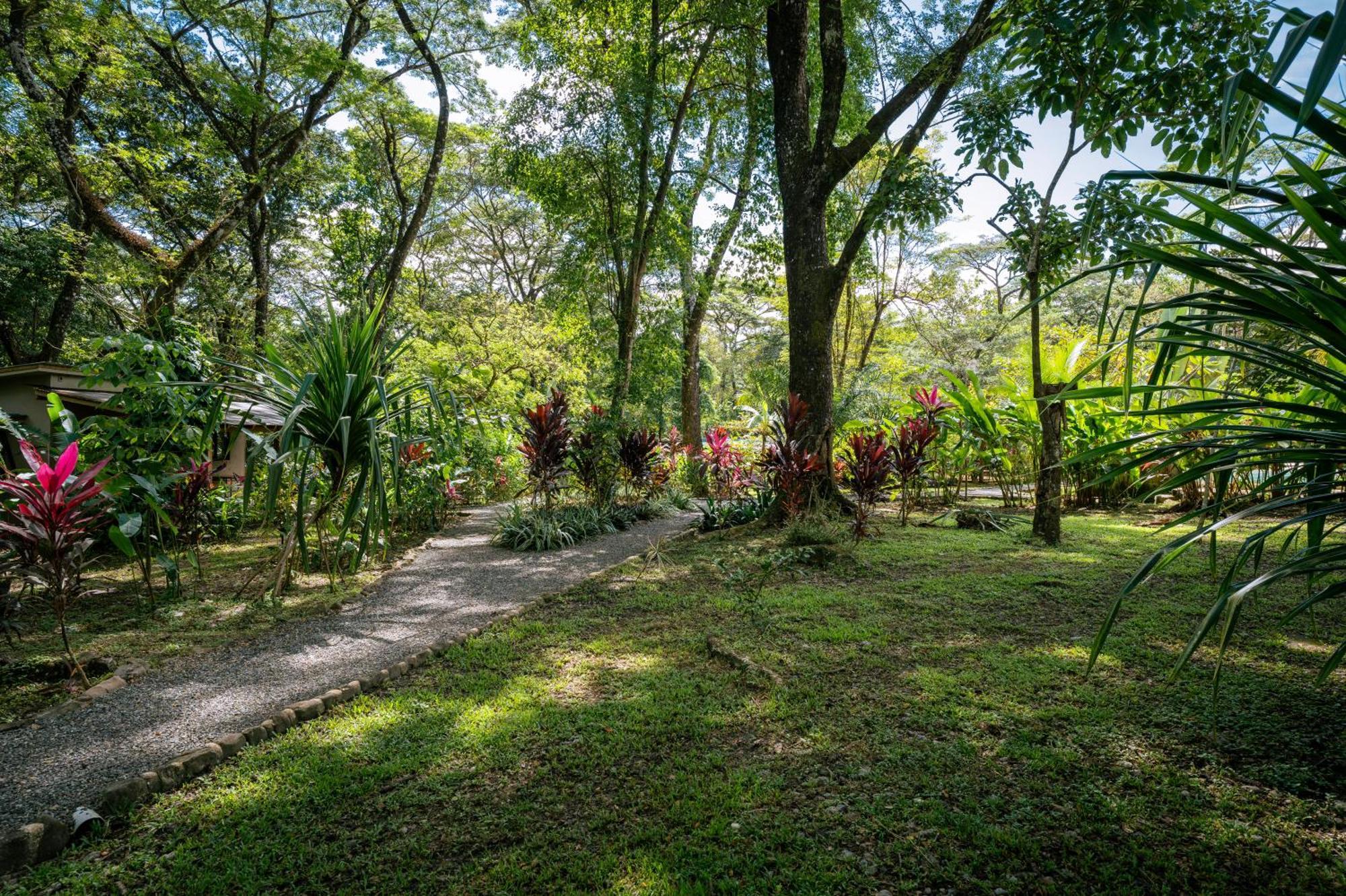 Feeling Trees Jungle Lodge Cabuya  Extérieur photo