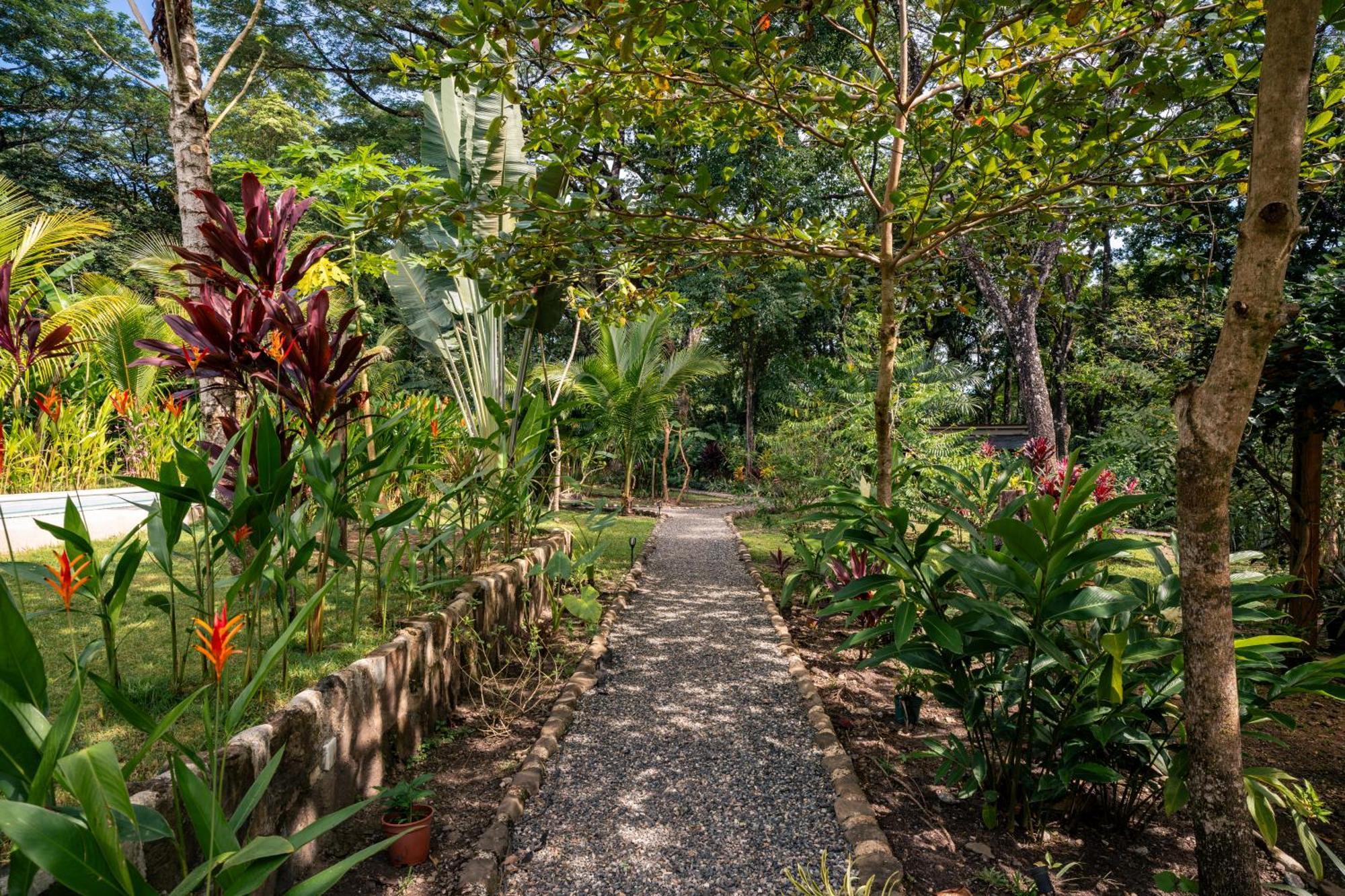 Feeling Trees Jungle Lodge Cabuya  Extérieur photo