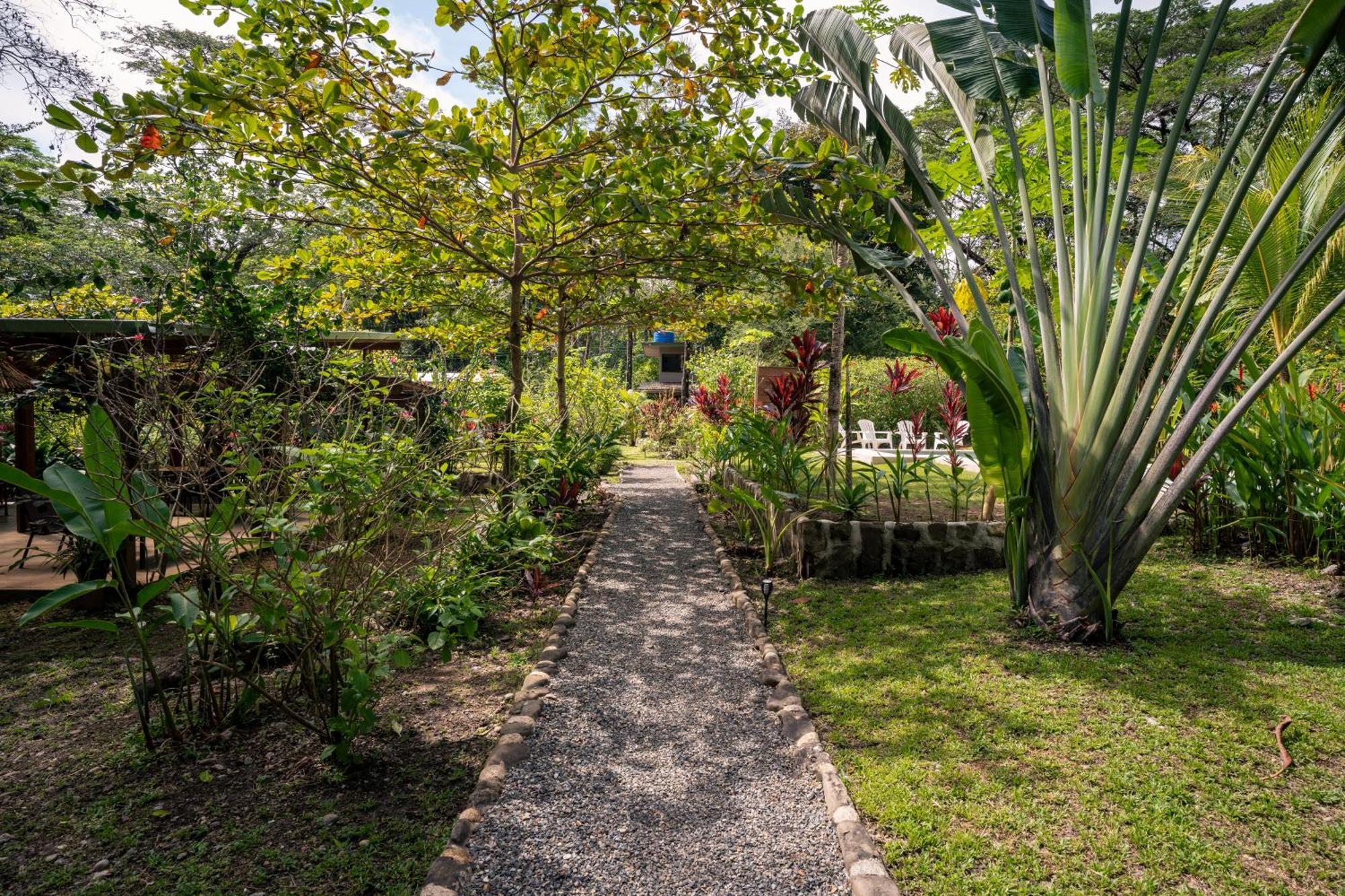 Feeling Trees Jungle Lodge Cabuya  Extérieur photo