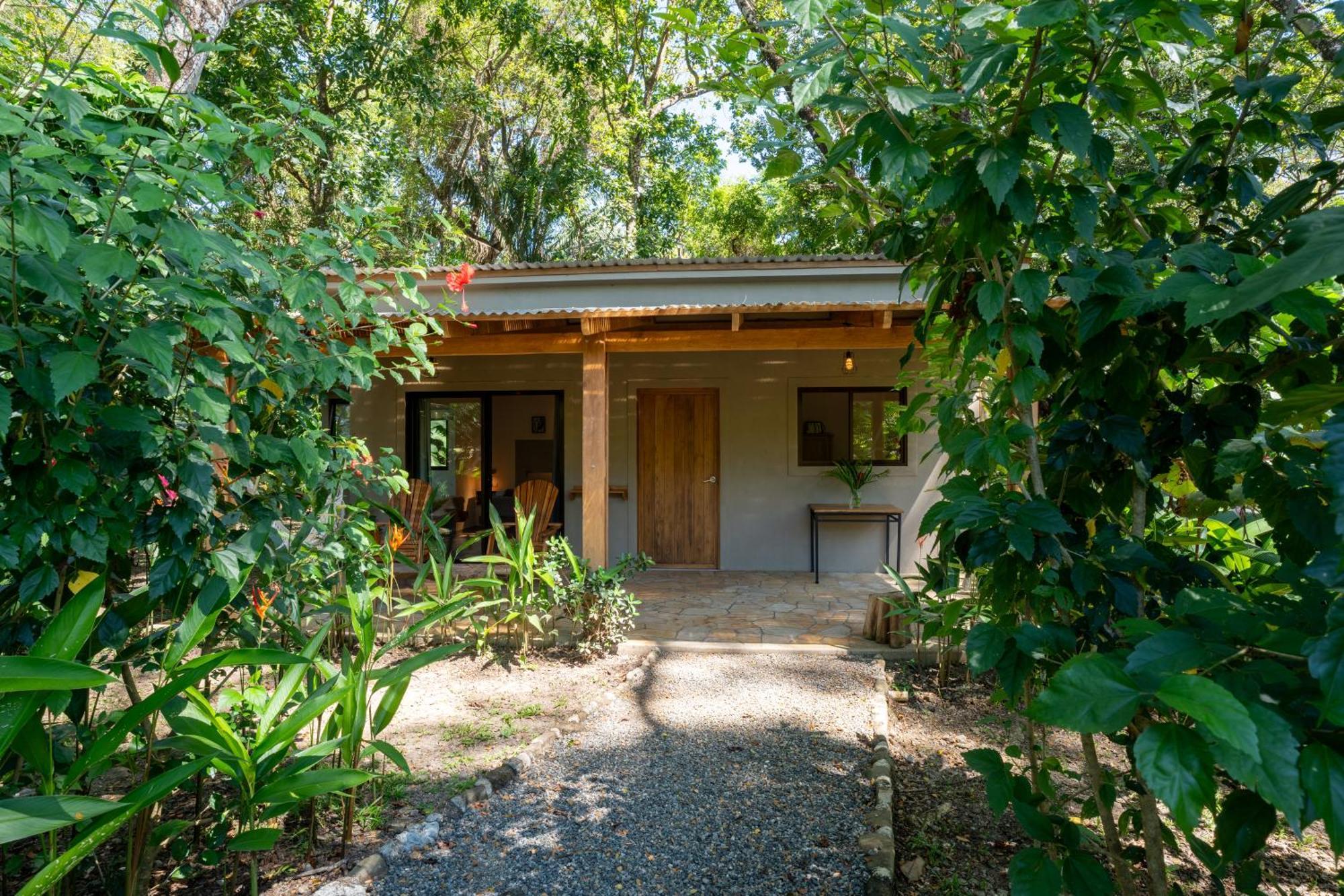 Feeling Trees Jungle Lodge Cabuya  Extérieur photo