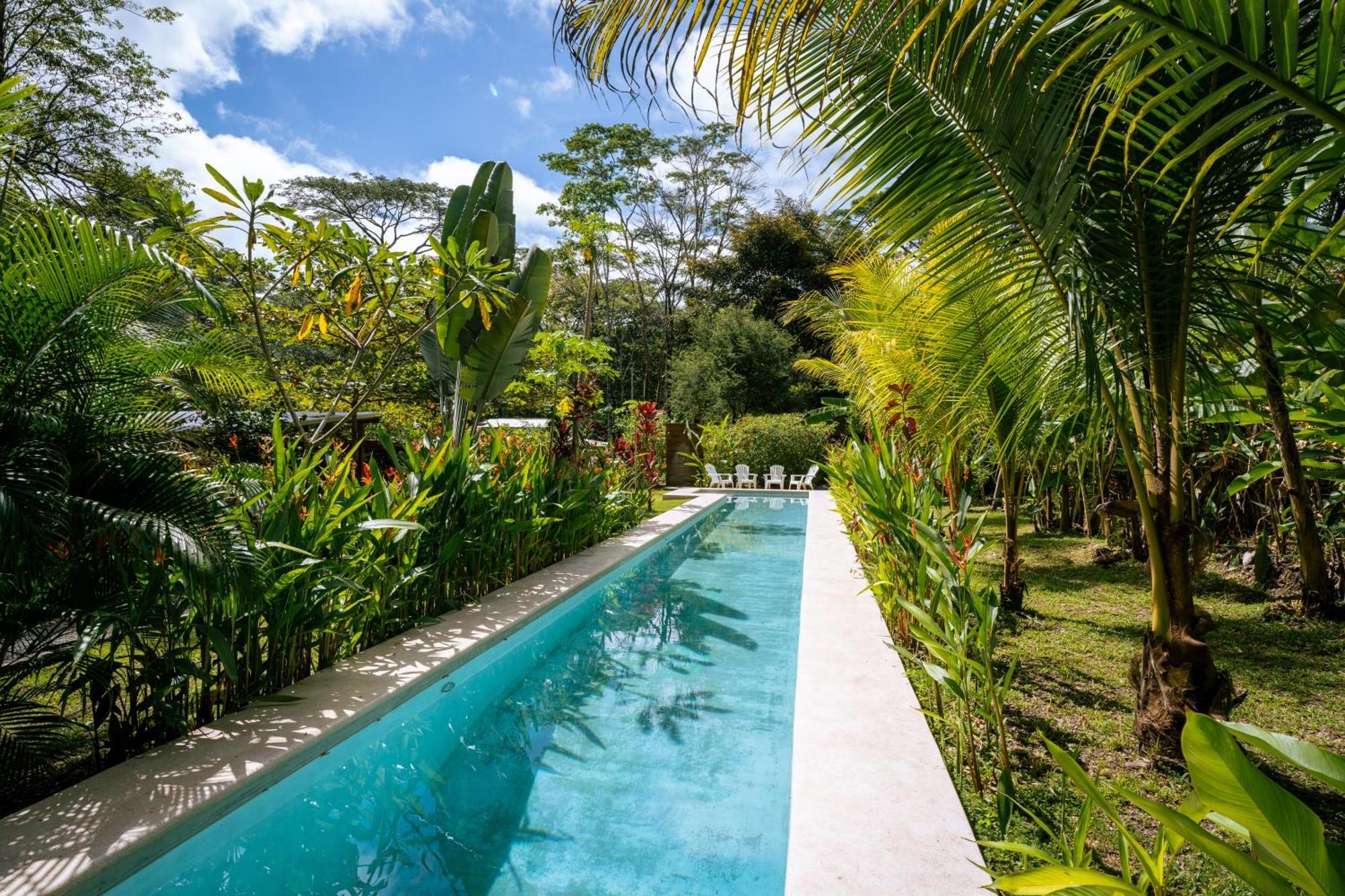 Feeling Trees Jungle Lodge Cabuya  Extérieur photo