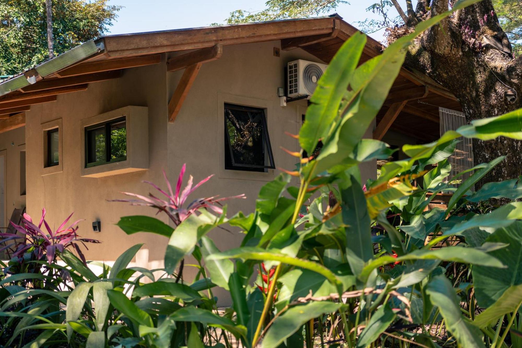 Feeling Trees Jungle Lodge Cabuya  Extérieur photo