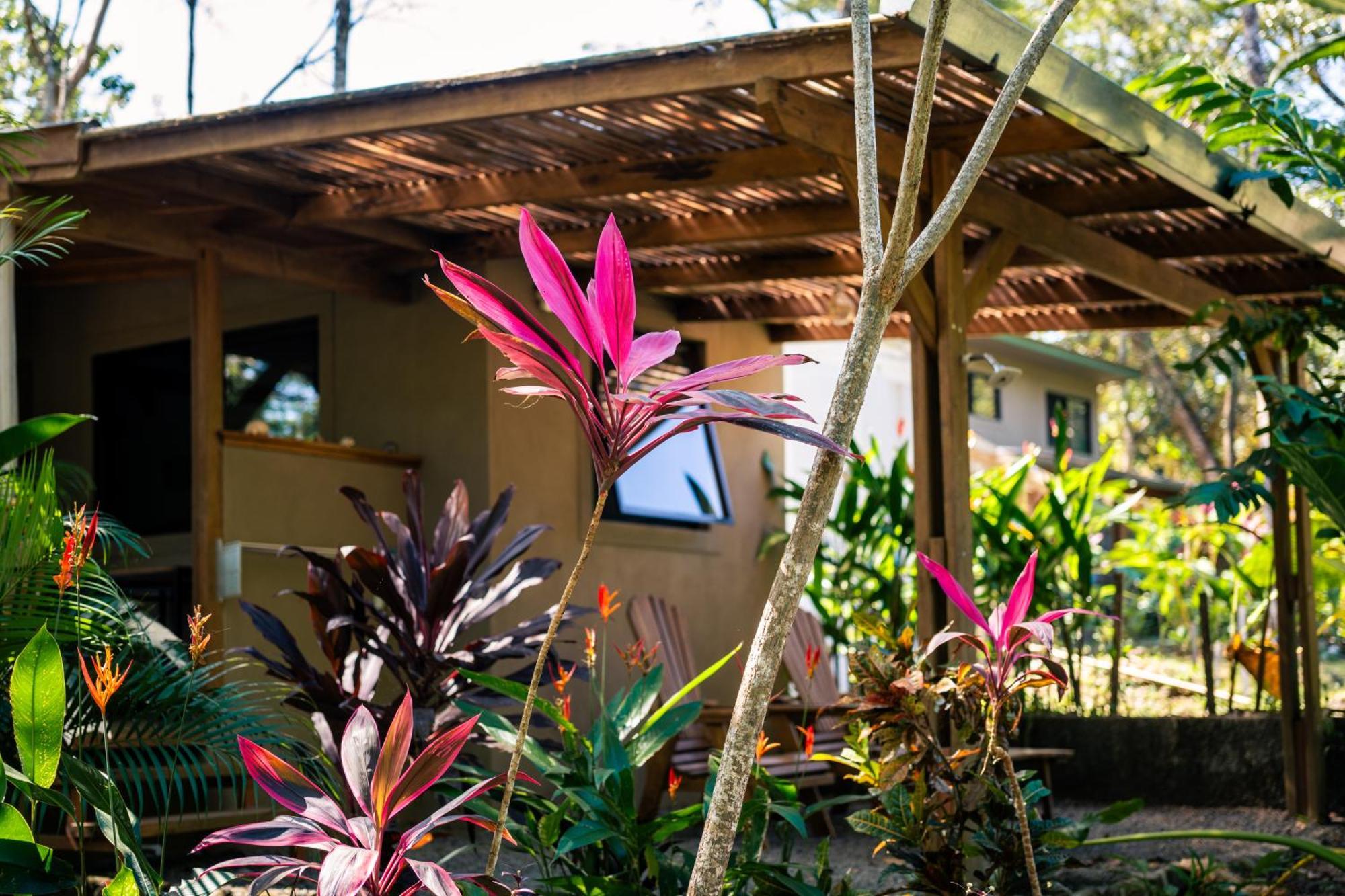 Feeling Trees Jungle Lodge Cabuya  Extérieur photo