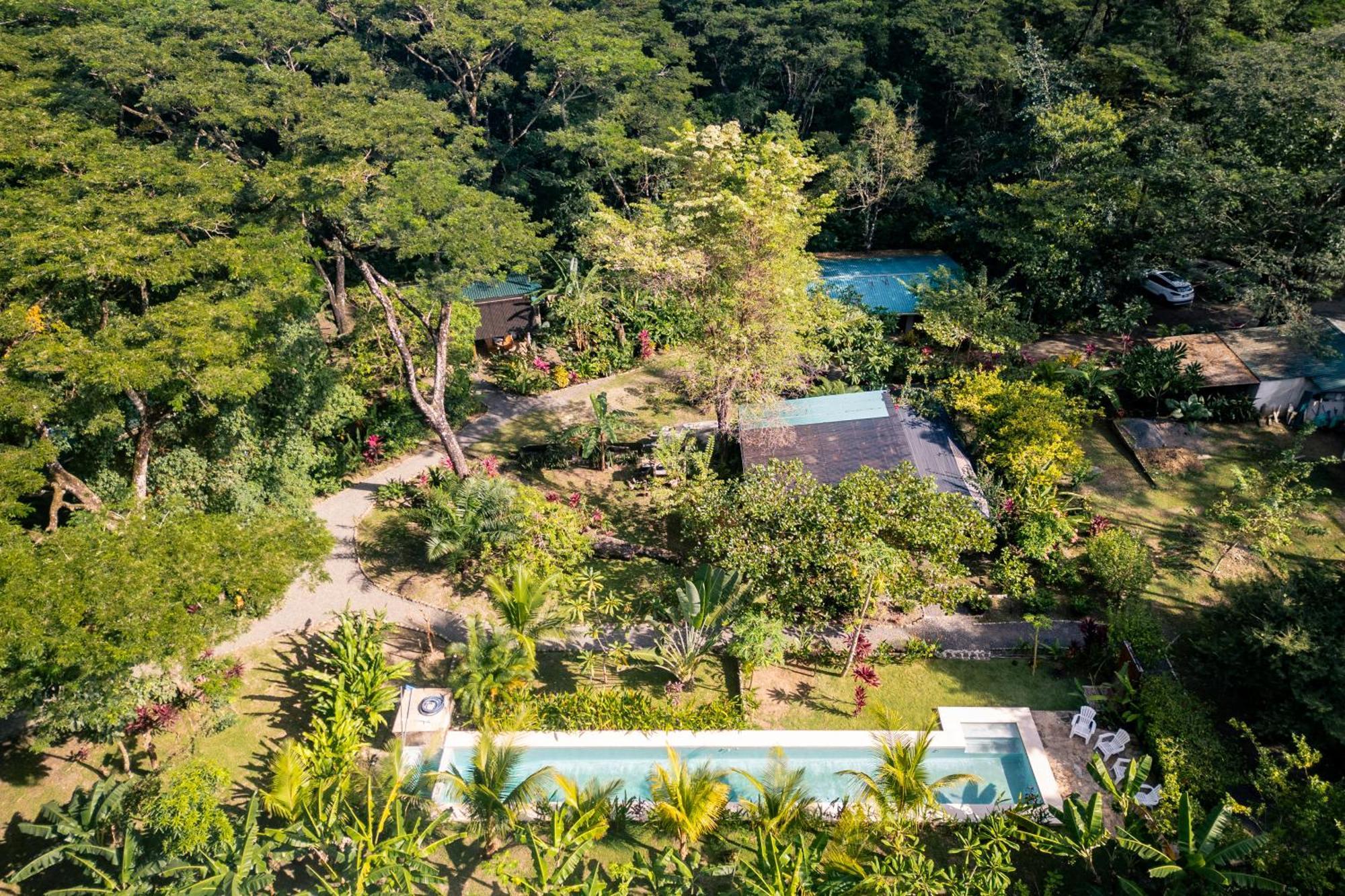 Feeling Trees Jungle Lodge Cabuya  Extérieur photo