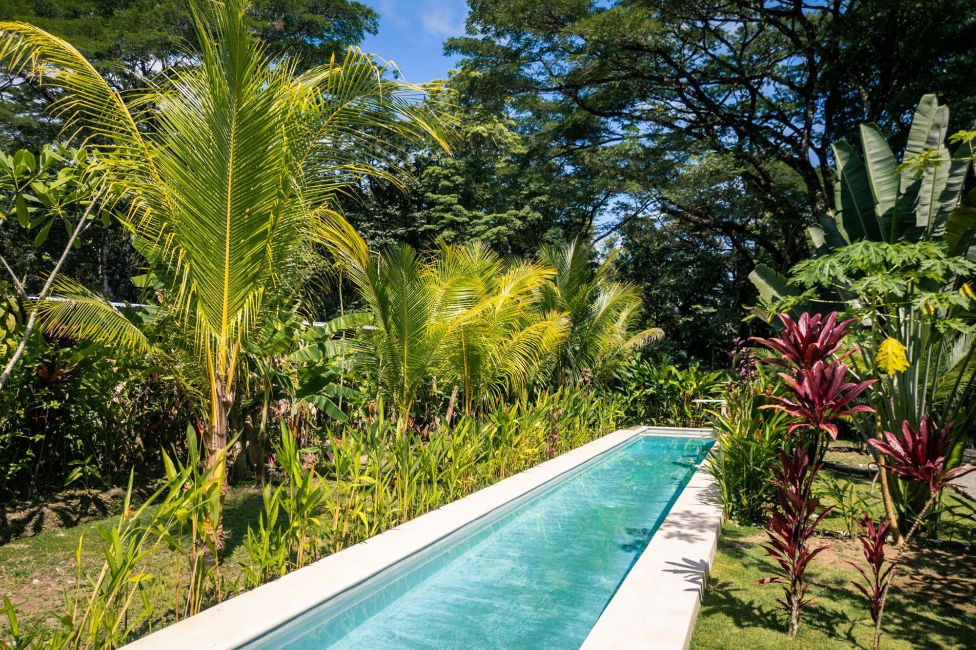 Feeling Trees Jungle Lodge Cabuya  Extérieur photo